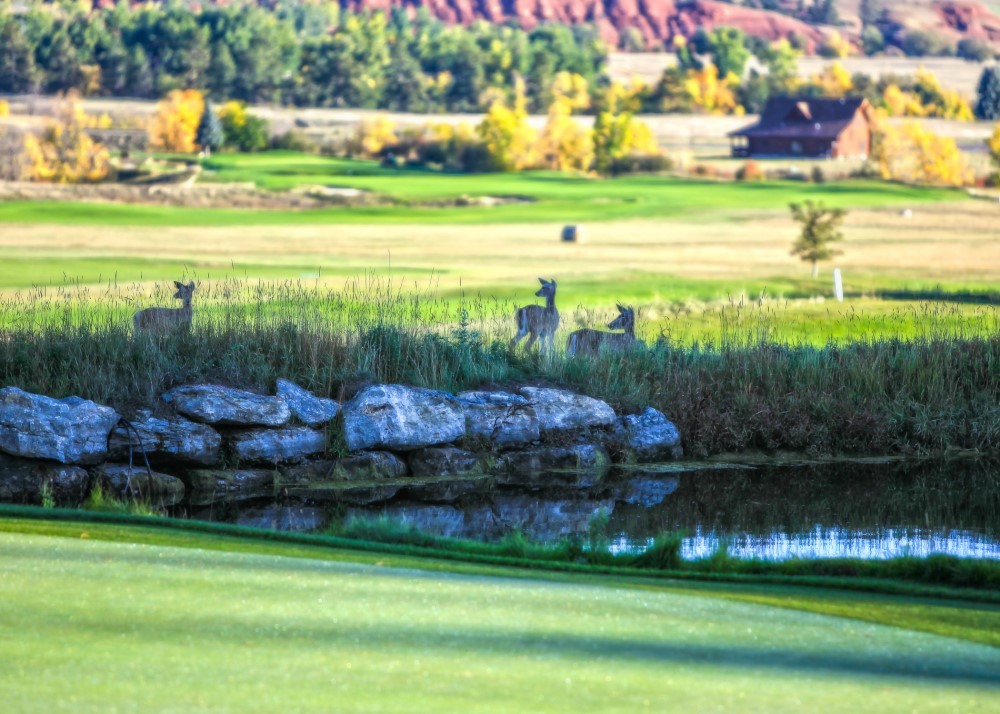 The Golf Club at Devils Tower Hulett, WY Private Course The Golf